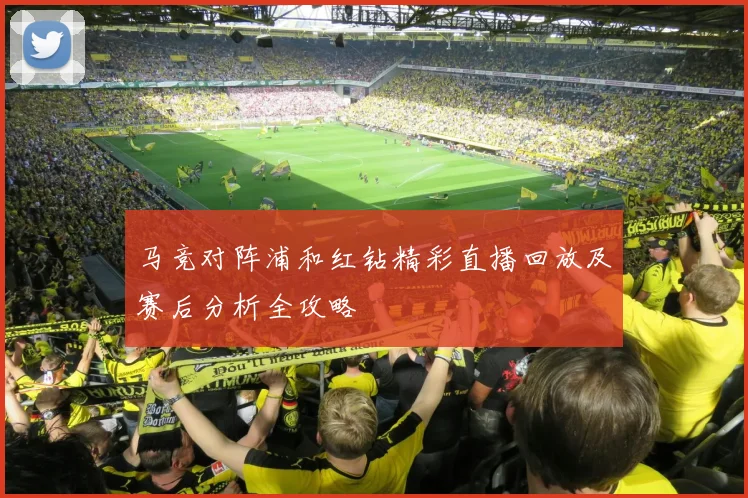 马竞对阵浦和红钻精彩直播回放及赛后分析全攻略
